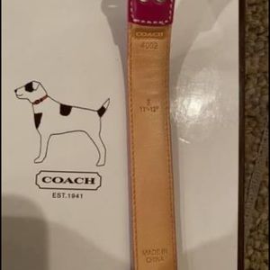 Coach Dog Collar and Leash Set